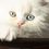 Claudia_85