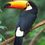 georgeg_37