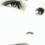 gabycont