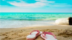 disappear butter Easter Litoralul pentru toţi 2019: Care sunt hotelurile unde se pot caza cei ce  vor o vacanță mai ieftină la mare